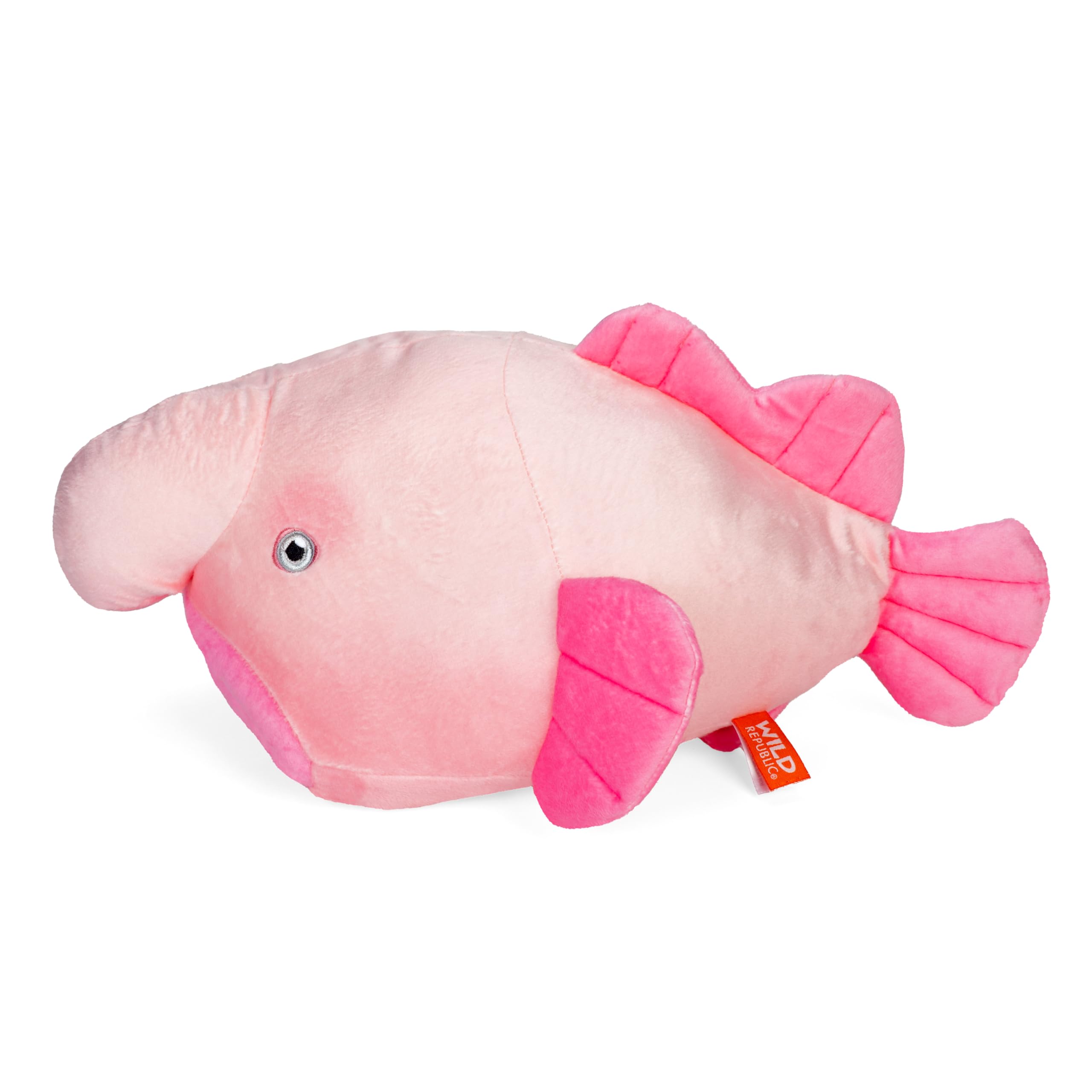 Amazon.com: Wild Republic Cuddlekins Eco Blobfish, Stuffed Animal
